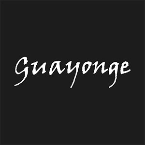 Logo de Bodega Guayonge
